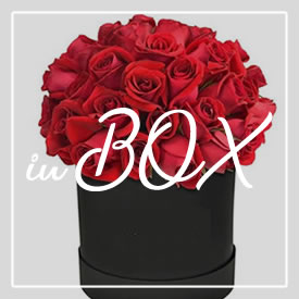 Coleção Flowers Box - Flores na caixa