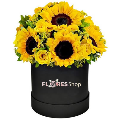 2384 Girassol e Rosas - Flowers Box Premium