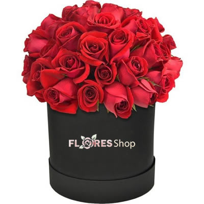2393 Flowers Box Vermelhas