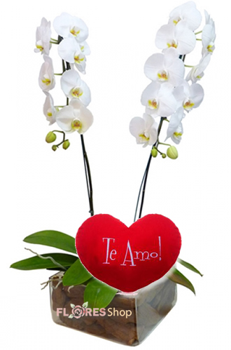 ❤•·.··.·❤ Love Orquídea ❤•·.··.·❤ | Flores Shop