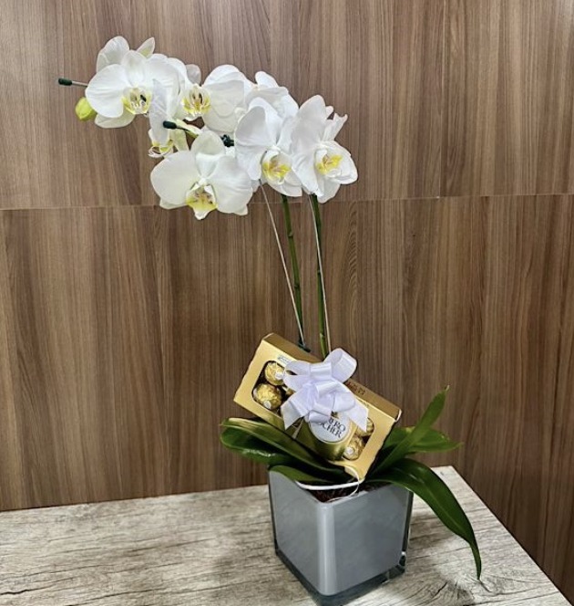 Doce Orquídea