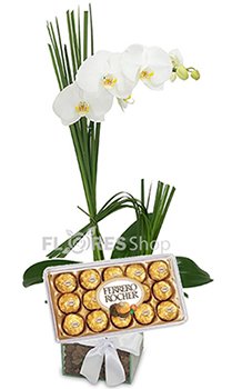 Amor de Orquidea com Ferrero