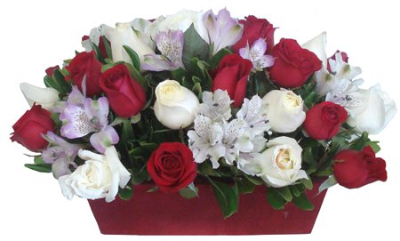 Jardim de Rosas