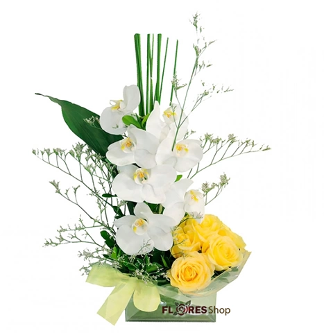 Arranjo Orquídeas e Rosas