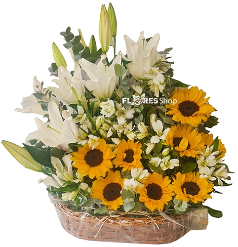 Flores Esplendidas