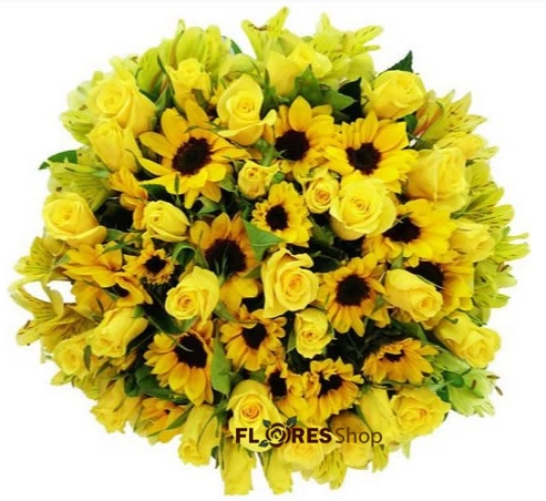 Todo amarelo show
