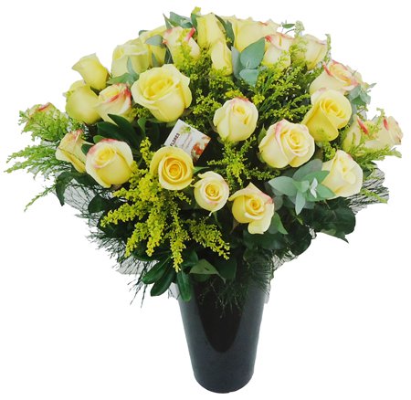 Show de rosas