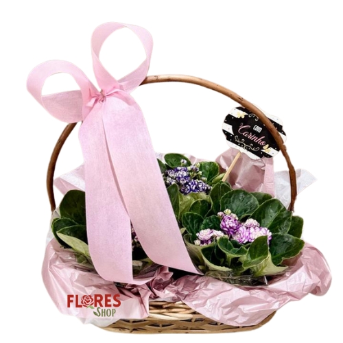 Cesta Trio de Violetas